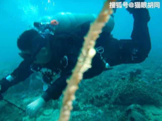 摩羯男请进！！